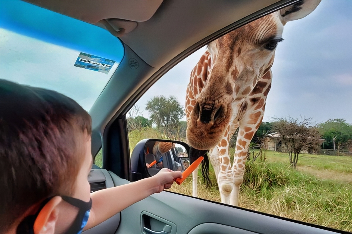 Precios, horario y más detalles del Bioparque Estrella MTY