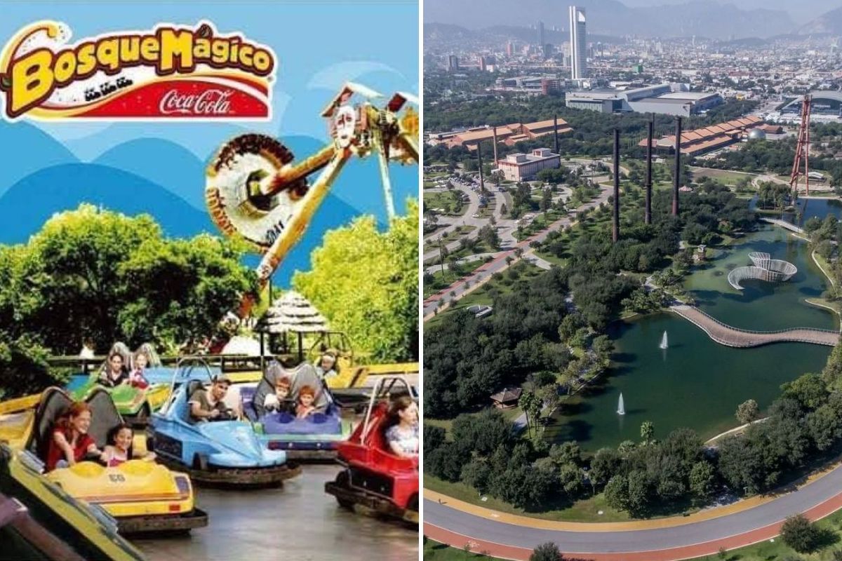 Bosque Coca-cola cierra para crear Gran Bosque