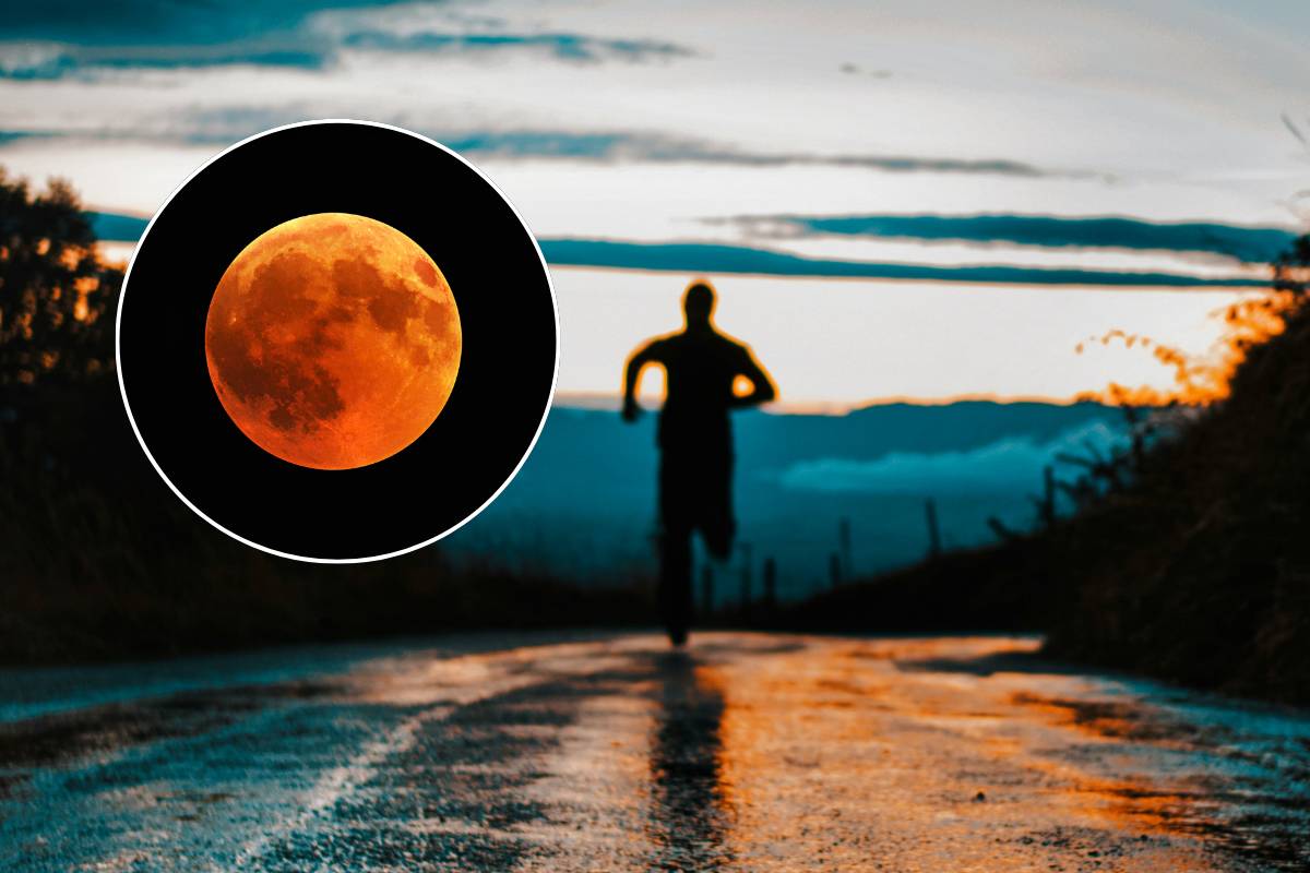 Carrera Bakpak Race 2025: corre entre la naturaleza y la superluna en Chipinque