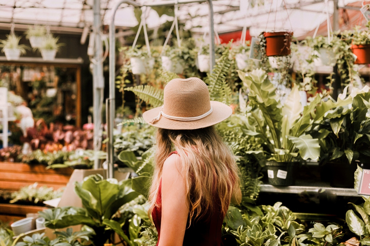 Expo de plantas en Monterrey: suculentas, cactus y más en Metapatio