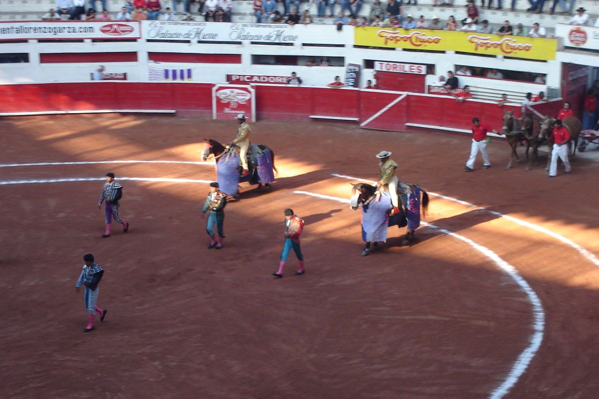 Corridas de toros en Nuevo León quedarán prohibidas