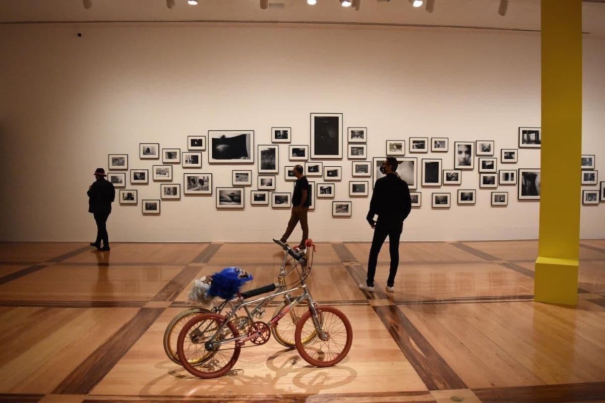 Porque hoy es día de museo gratis en el MARCO