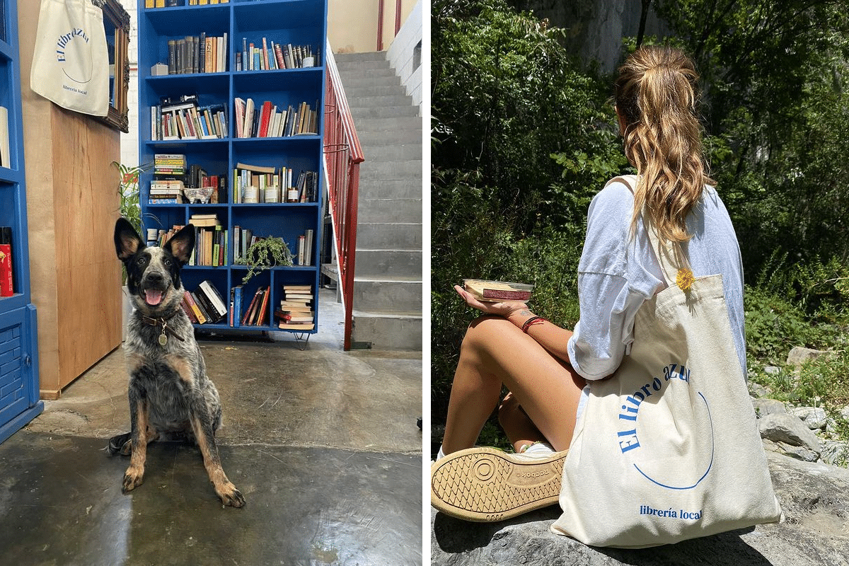 El Libro Azul: la librería pop-up de Nave Tampiquito debes conocer