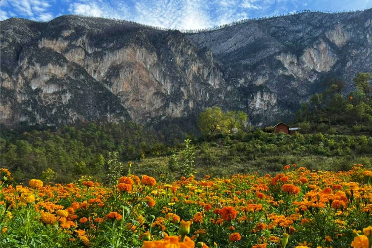El Venadito
