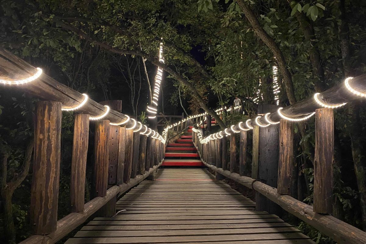 Chipinque's illuminated bridge arrives with thousands of lights to ignite your Christmas spirit