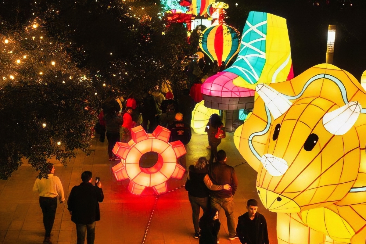Not to be missed plans this Christmas in Monterrey