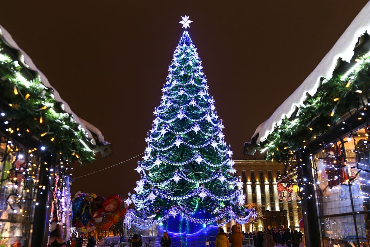 Six places to see the Christmas pine tree lighting in Monterrey