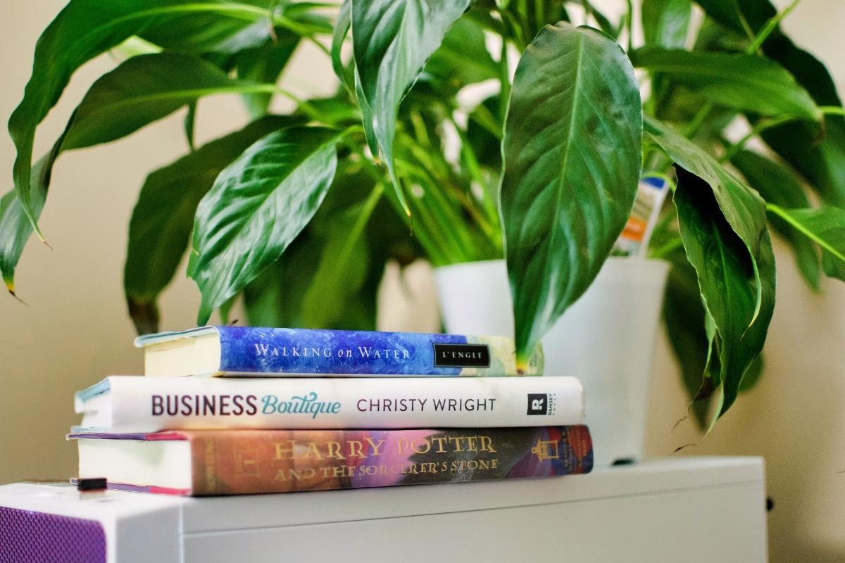 Free books and plants: The exchange event where you don't need to give anything to receive something in return