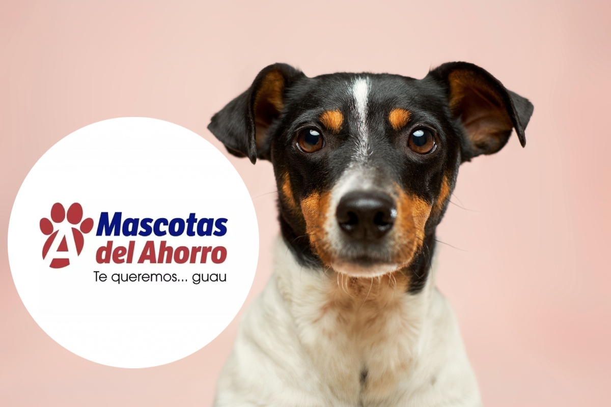 Farmacias del Ahorro para Mascotas will open first in Monterrey with free veterinary consultations