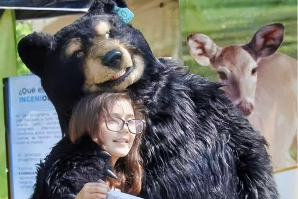 Workshops and activities in San Pedro de Pinta's Day of the Bear