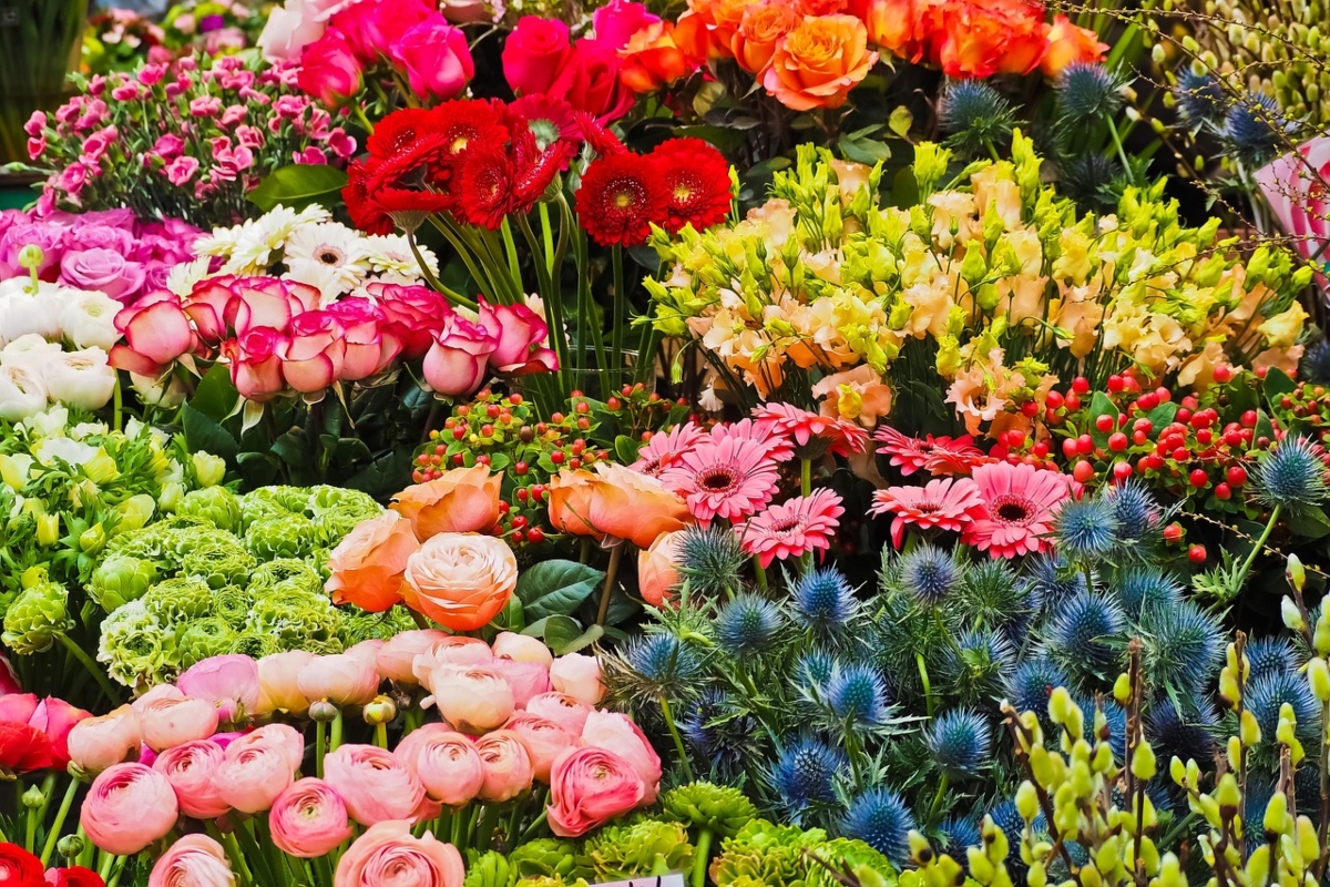 The San Pedro spot that will be filled with thousands of flowers: dates and free activities in Plaza Juárez