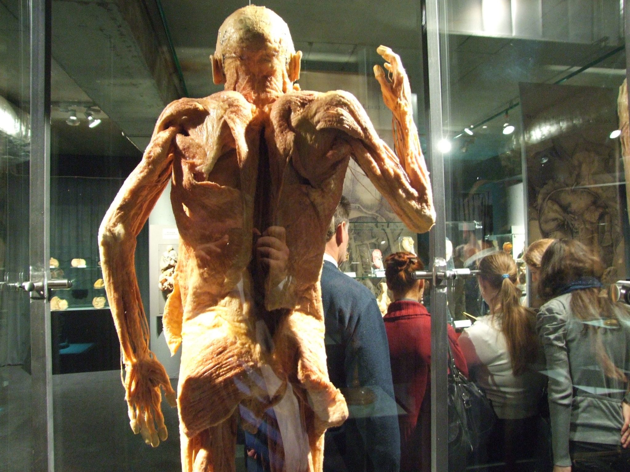 Bodies Monterrey