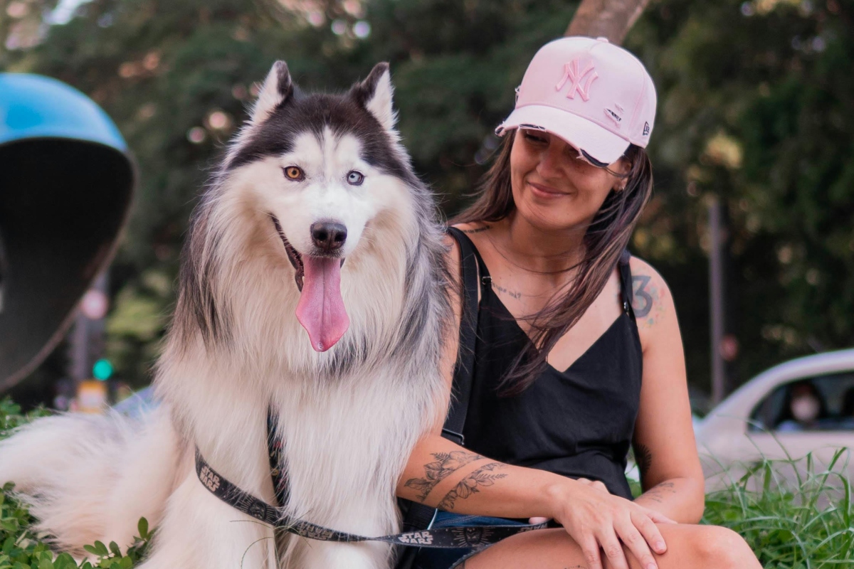 Festival Canino Parque Rufino Tamayo: música, mercadito y diversión acuática para tu lomito