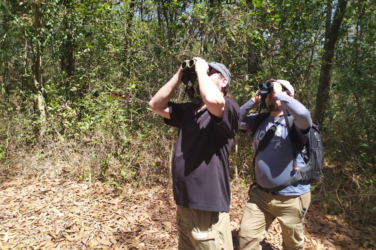 Lánzate un fin a ver aves con Kingfisher Birdwatching