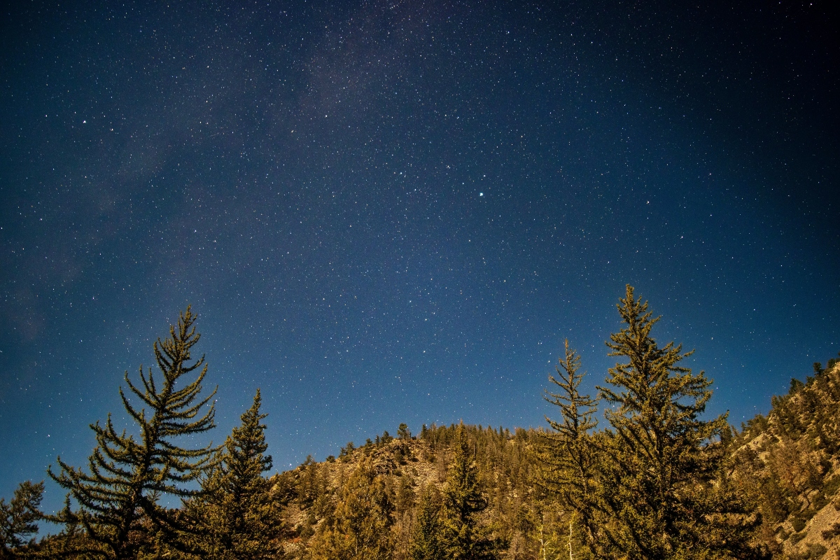 Estanzuela Bajo las Estrellas: descubre el universo desde el bosque por sólo $200 pesos