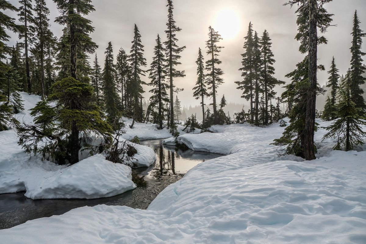 Nieve en Nuevo León: 4 lugares donde podrías ver paisaje nevado