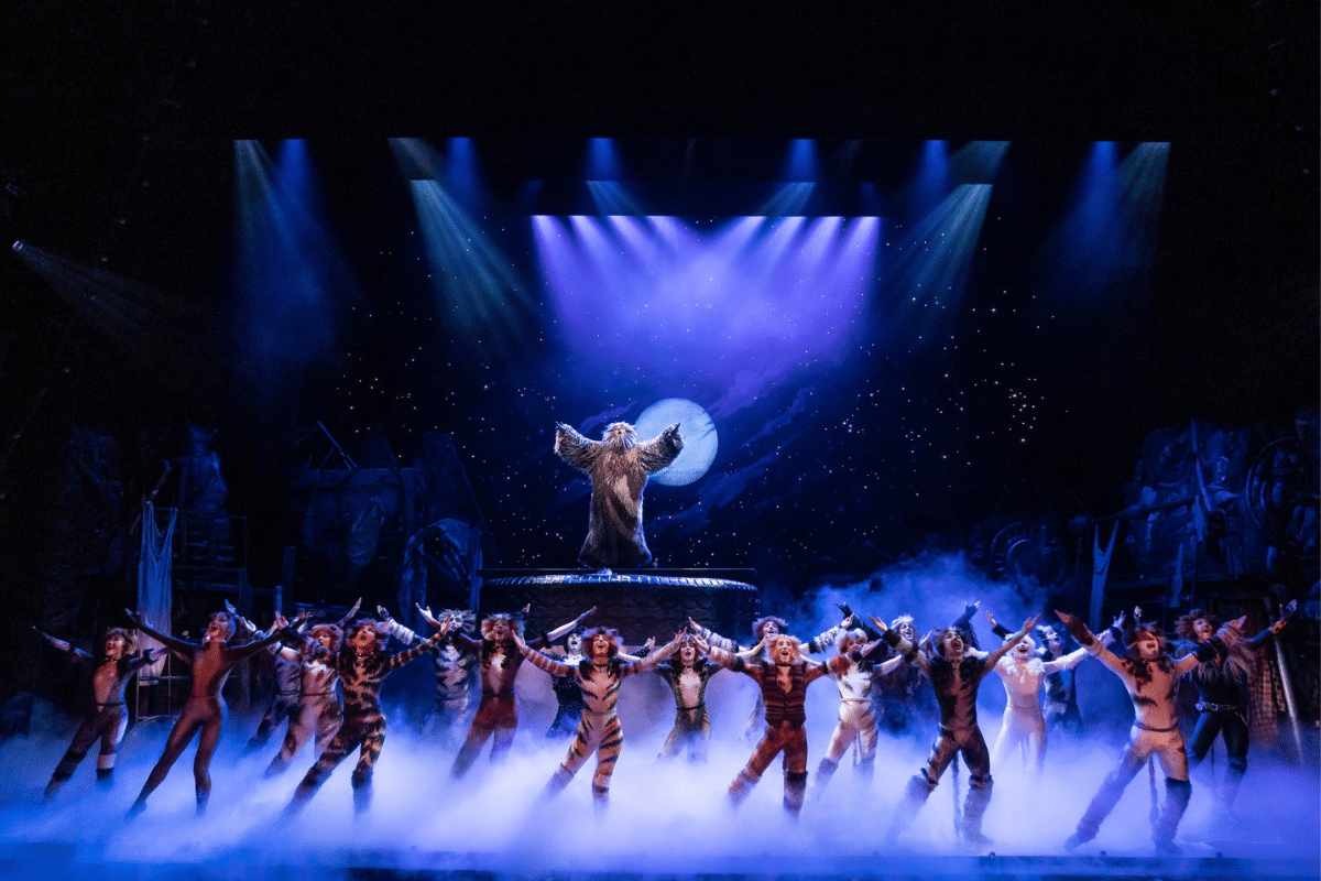 El musical de Broadway Cats llega a Monterrey