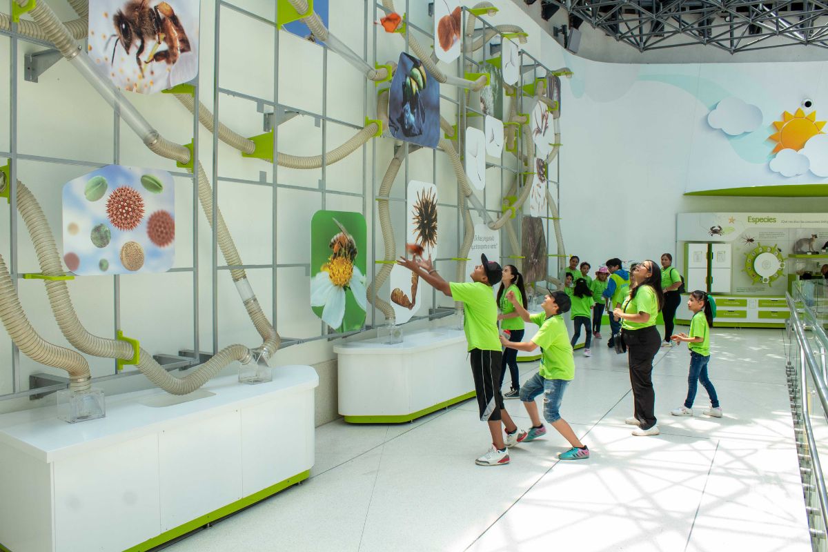 Papalote Museo del Niño vuelve a abrir sus puertas en Monterrey