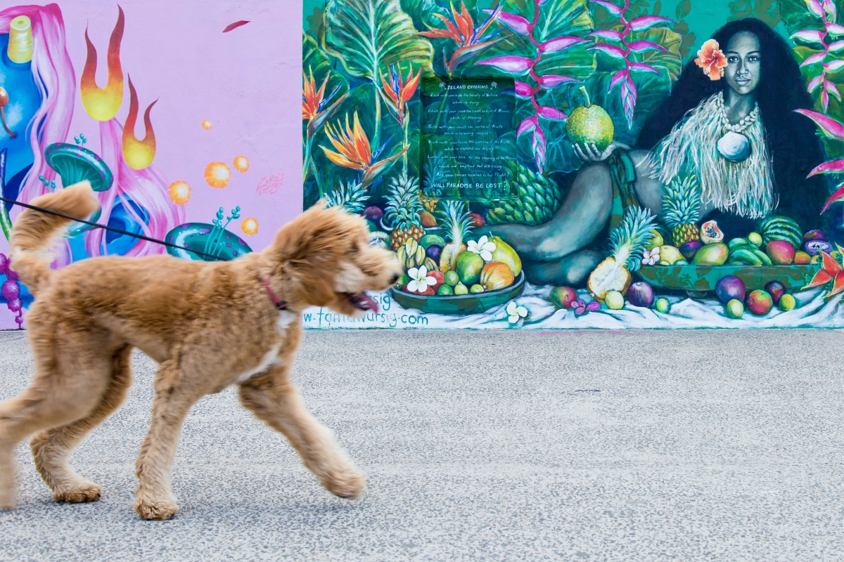 Perropolis: La exposición para perritos sobre perritos