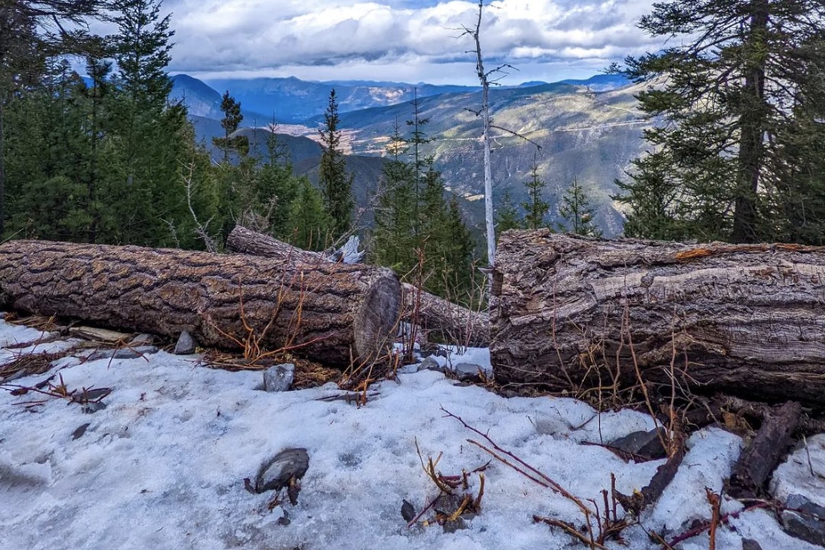 Los pocos lugares en donde puedes encontrar nieve en México
