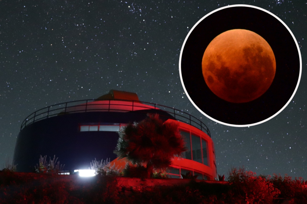 Vive el eclipse lunar de sangre en el Observatorio UANL con este tour astronómico con camping