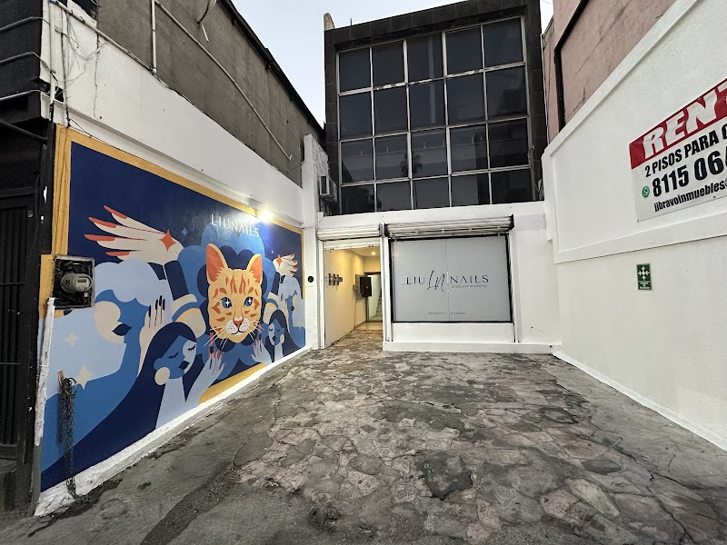 LIUNAILS Shop and Academy