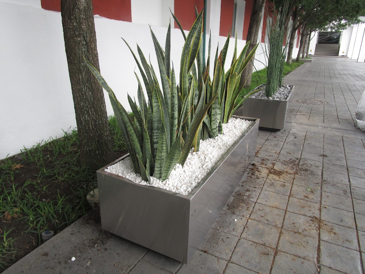 Agro del Norte — Agro del Norte