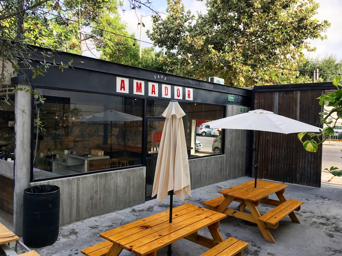 Qué más hacer en Metapatio Monterrey: 3. Buscar “ese disco” en Discos Monterrey Store — Metapatio