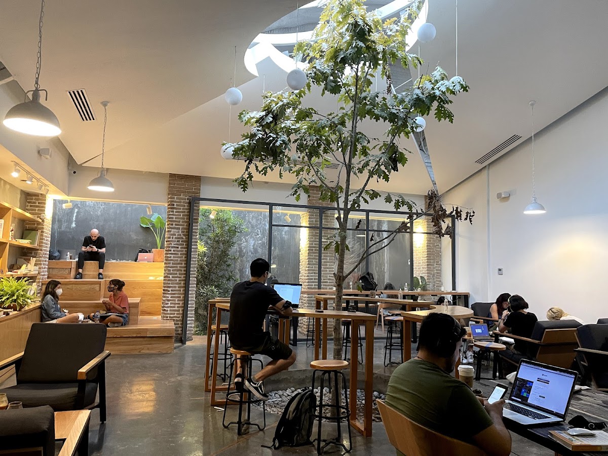 Café Cacao — CAFÉ CACAO