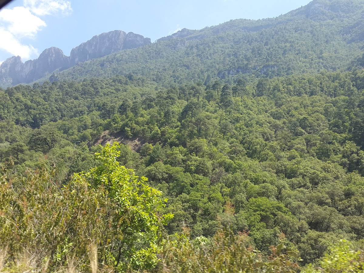 Todo sobre los recorridos guiados de Chipinque — Chipinque
